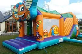 Bugs Obstacle Course Hire Ballincollig